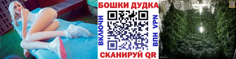 Бошки Шишки ГИДРОПОН  Фатеж 